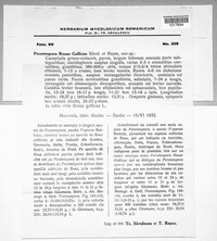 Image Associated With the Occurence